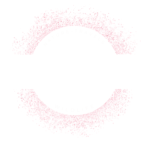 Josephbphotography